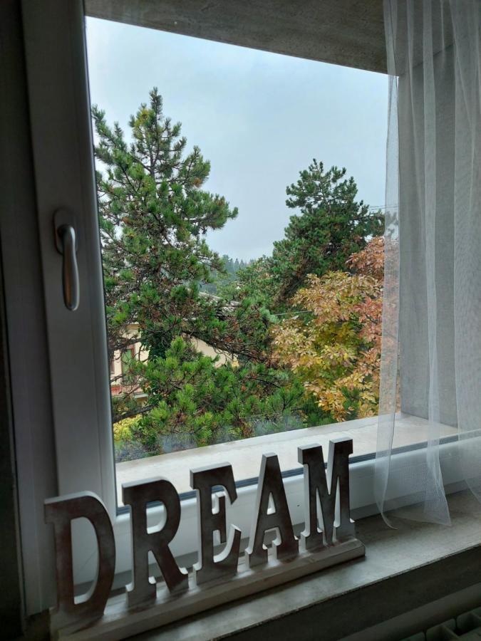 La Pineta - Delightful Small Apartment Near The City Center LʼAquila Dış mekan fotoğraf