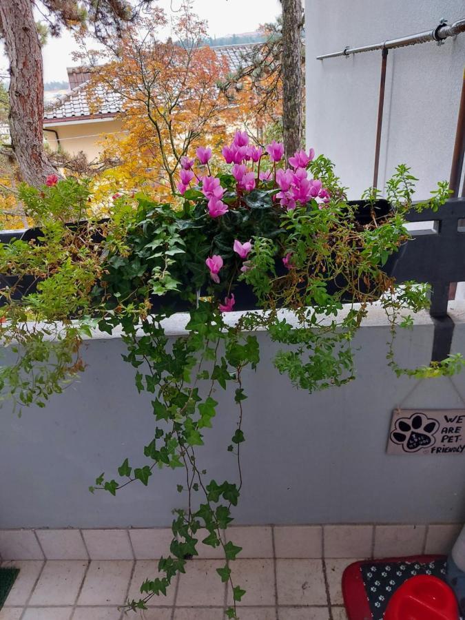 La Pineta - Delightful Small Apartment Near The City Center LʼAquila Dış mekan fotoğraf